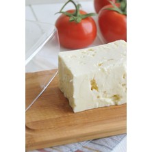 Bambum Novita Peynir Saklama Kabı