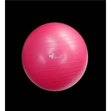 Ebru Şallı Ebru Fuşya Pilates Topu 65 cm