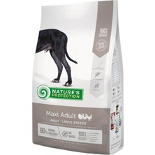 Nature's Protection Maxi Adult Large Breeds Poultry %80 Hayvansal Proteinli Düşük Tahıllı Kümes Hayvanlı Büyük Irk Köpek Maması 12 kg