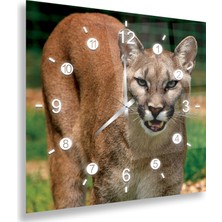 Emya Home Puma Cam Tablo