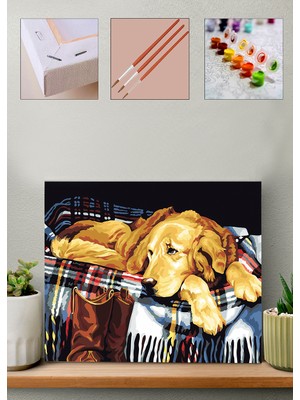 Carmen Sayılarla Boyama Seti Golden Köpeği