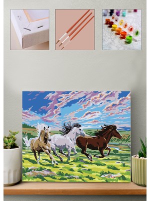 Carmen Sayılarla Boyama Seti 40 x 50 cm Çam Çıtaya Gerilmiş Pamuklu Tuval ile Renkli