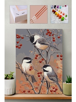 Carmen Sayılarla Boyama Seti Gri Kuşlar