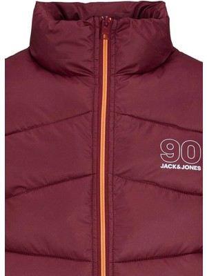 Jack & Jones Erkek Renkli Ceket ( Model Kodu : 12223166 )