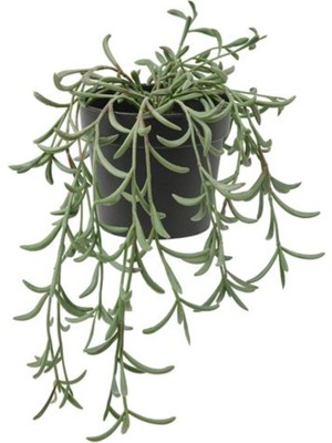 IKEA Fejka Senecio Radicans 9 cm Yapay Bitki