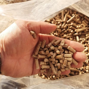Pelinpelet Kedi Kumu 6 mm Çam Peleti 20 lt(10 Kg)