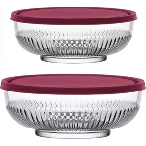 Tokyo Saklama Kabı 2'li (880 Ccc +1500 Cc)