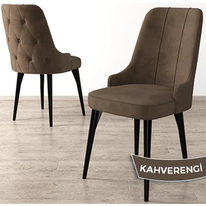 Concept Maya Serisi Sandalye  Siyah Gürgen Ayak 1 Adet