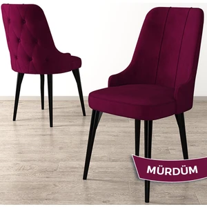 Concept Maya Serisi Sandalye  Siyah Gürgen Ayak 1 Adet