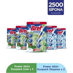 Wc Power Aktiv Duopack Katı Tuvalet Bloğu 3 Çam 2 Okyanus, 5 x 2'li Paket