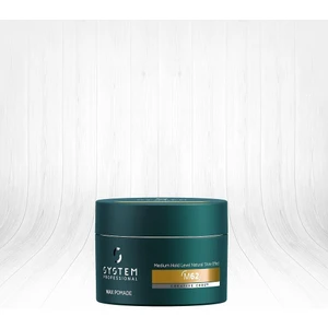 System Professional Man Parlak Krem Wax 80ML