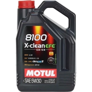 8100 X-Clean Efe 5W30 5 Lt.