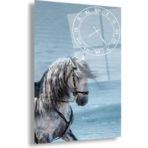 Emya Home Saatli Beyaz At Cam Tablo