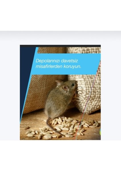 Fare ve Sıçanlar Için Zehirli Buğdaylar 3'lü Karışım/ 1 Kg 1000 Gr Zehirli Buğdaylar