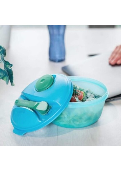Salata Ve Taşıma Kabı