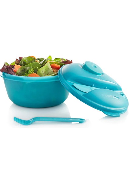 Salata Ve Taşıma Kabı fiyatları