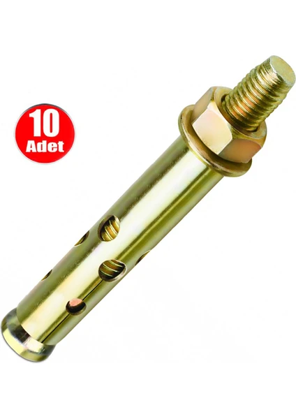 Alet Çantam Çelik Dübel Gömlekli 6X65 (8mm) - 10 Adet