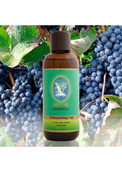 Defne Nuka Essencia Soğuk Sıkım Üzüm Çekirdeği Yağı 250 ml