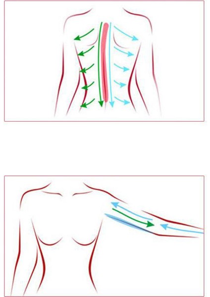 Boyun, Göğüs, Mavi Için Palmiye Şeklindeki Elle Tutulan Masaj (Yurt Dışından) fırsatları