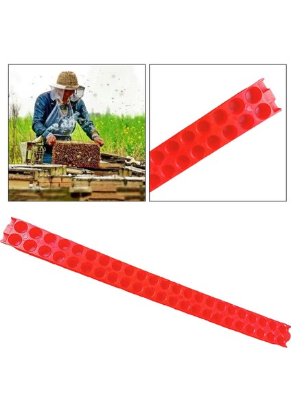 Kraliçe Arı Izolatörü Kafesi Catcher Için Arıcılık 46 Delikli Taşıma Şeridi (Yurt Dışından)