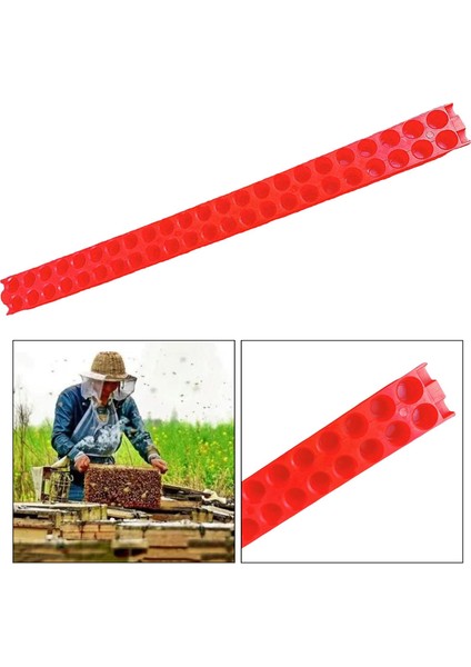 Kraliçe Arı Izolatörü Kafesi Catcher Için Arıcılık 46 Delikli Taşıma Şeridi (Yurt Dışından)