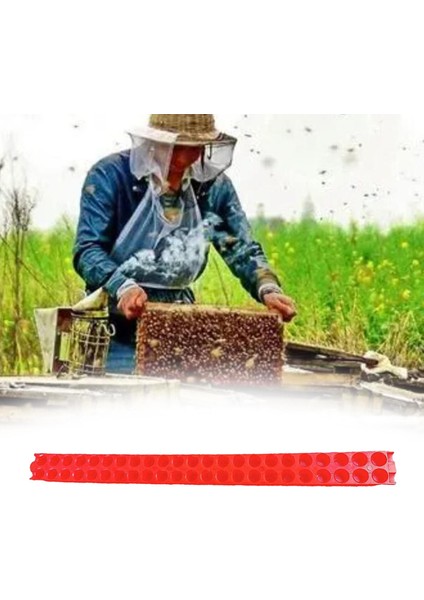 Kraliçe Arı Izolatörü Kafesi Catcher Için Arıcılık 46 Delikli Taşıma Şeridi (Yurt Dışından)