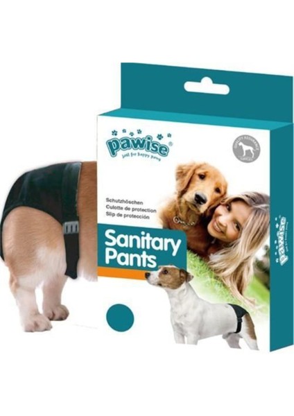 Köpek Regl Kilotu Large