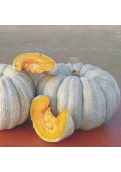 Yerli Ata Tohumu Kestane Kabağı 5 Adet