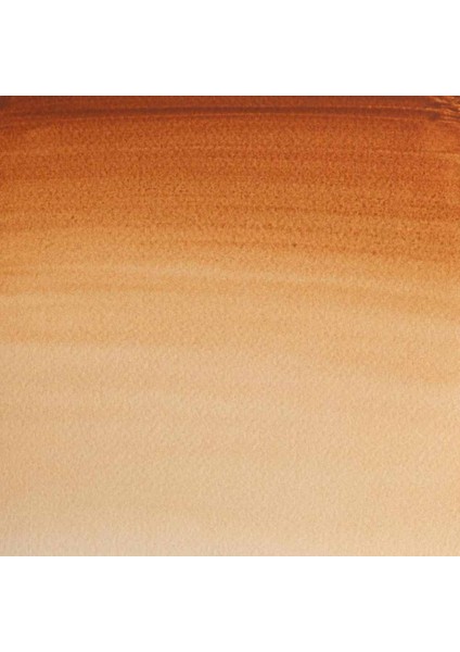 Professional Sulu Boya Tam Tablet Brown Ochre 059 S.1