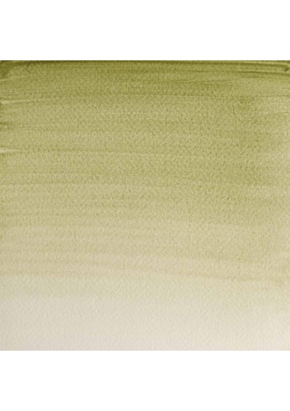 Professional Sulu Boya Tam Tablet Terre Verte (Yellow Shade) 638 S.1 fiyatları