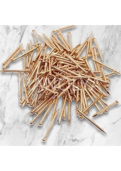 Filiografi Top Baş Çivi Altın 100 Gr