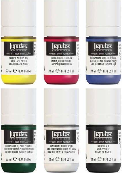 Professional Soft Body Akrilik Boya 6X22ML Set Mixing