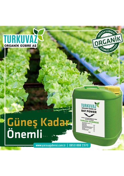 10 Lt. Turkuvaz Çotanak Organik Sıvı Yarasa Gübresi FINDIĞA ÖZEL YAPRAK VE TOPRAK GÜBRESİ