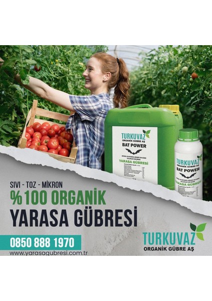 2.5 Kg. Turkuvaz Organik Mikron Toz Yarasa Gübresi (Katkısız)