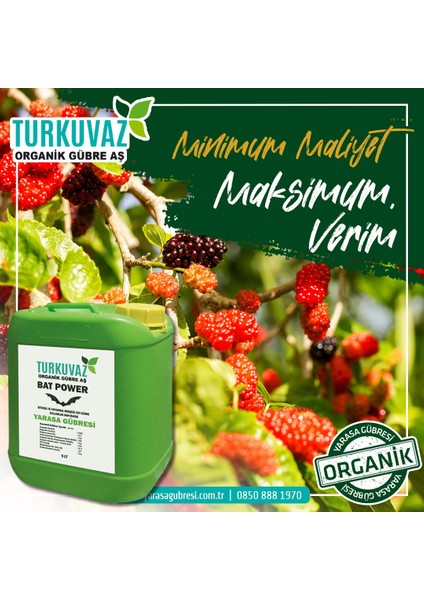 5 Kg. Turkuvaz Organik Mikron Toz Yarasa Gübresi (Katkısız)