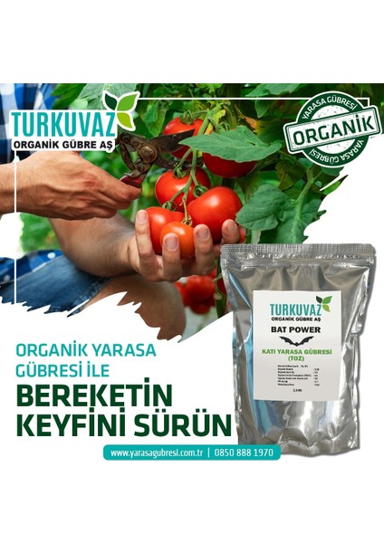 10 Kg. Turkuvaz Organik Mikron Toz Yarasa Gübresi (Katkısız)