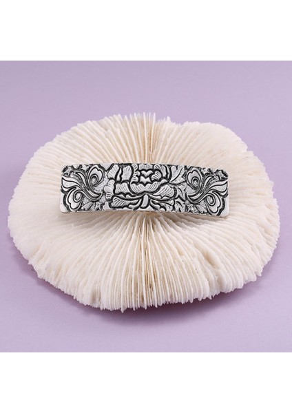 2 Paket Klasik Fransız Barrette Metal Büyük Saç Klipsi Toka Başlık (Yurt Dışından) fiyatları