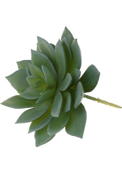 Lotus Peyzajı Için Yapay Etli Bitkiler Bitmemiş Mini Sulu Meyveler Bitki (Yurt Dışından)