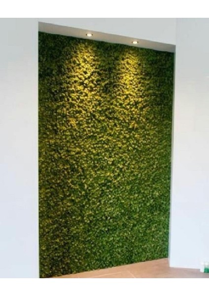 Dekoratif Yapay Bitki Duvar Kaplama Panel Şimşir Tabaka 40X60 Yeşil Dikey Bahçe