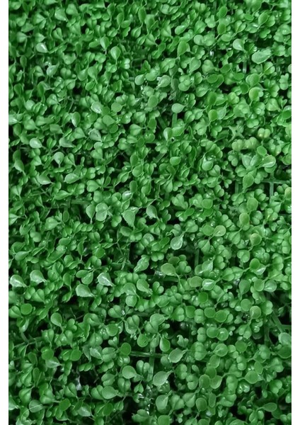 Dekoratif Yapay Bitki Duvar Kaplama Panel Şimşir Tabaka 40X60 Yeşil Dikey Bahçe