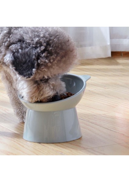 Yükseltilmiş Kedi Kase Küçük Köpek Yavru Kedi Yemekleri Gıda Kaymaz Standı Evcil Hayvan Seçeneği 5 (Yurt Dışından) indirimleri