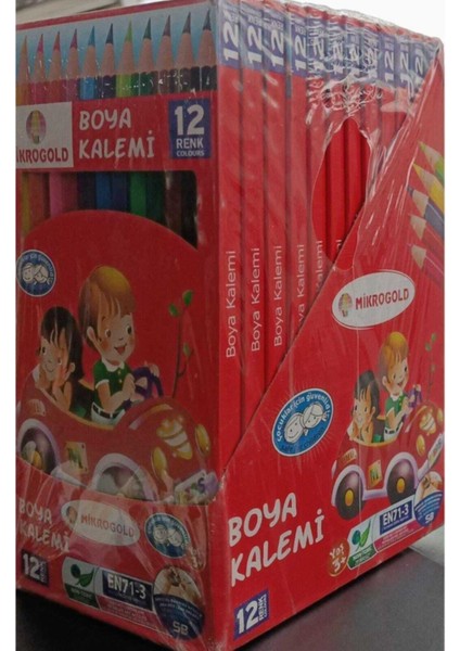 Mikrogold Kuru Boya 12 Li Paket