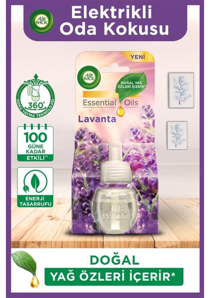 Elektrikli Oda Kokusu Yedek Lavanta