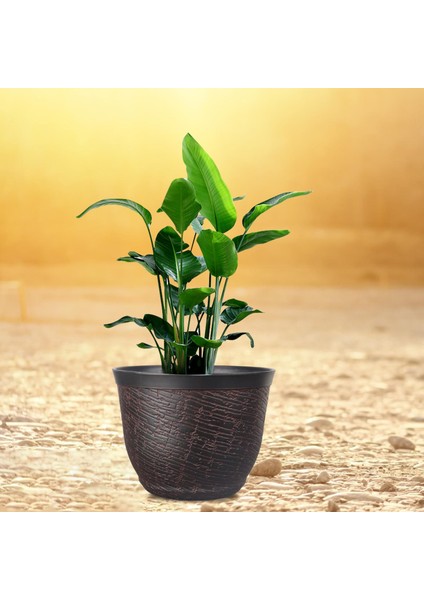 Bitki Pot Kova Bitki Konteyneri Retro Houseplants Arka Bahçe Veranda Için Reçine (Yurt Dışından) fiyatları
