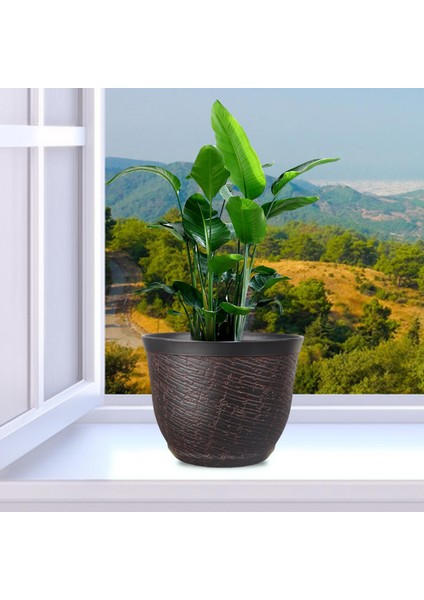 Bitki Pot Kova Bitki Konteyneri Retro Houseplants Arka Bahçe Veranda Için Reçine (Yurt Dışından) modelleri
