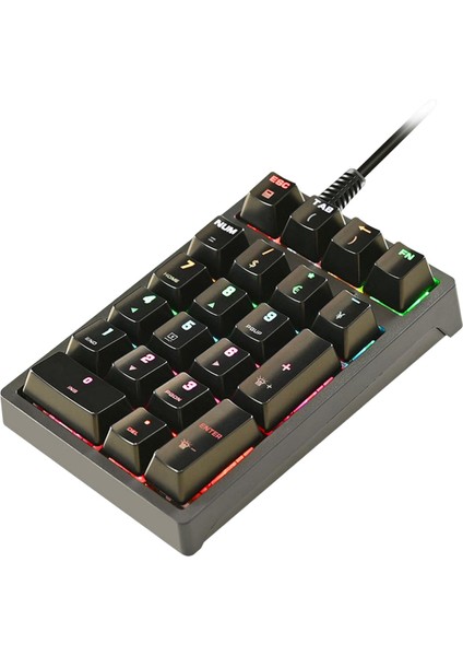 K21 Mini Mekanik Sayısal Tuş Takımı 21 Anahtarlar USB Ps Tasarımcıları Için Kablolu (Yurt Dışından)