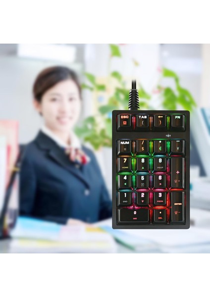 K21 Mini Mekanik Sayısal Tuş Takımı 21 Anahtarlar USB Ps Tasarımcıları Için Kablolu (Yurt Dışından) modelleri