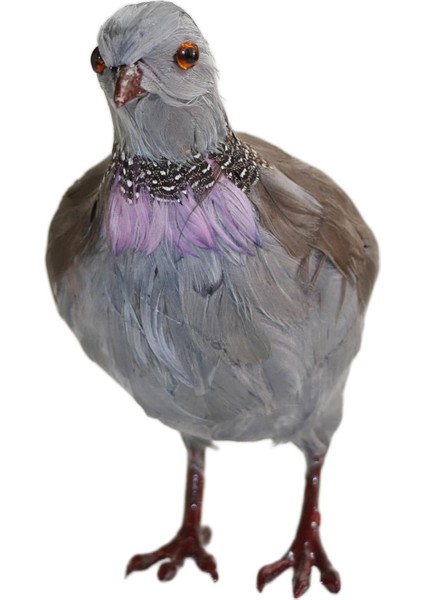 Tüylü Turtledove Simülasyon Turtledove Heykel Için Sundurma Masa Süsleri 21X16CM (Yurt Dışından) fiyatları