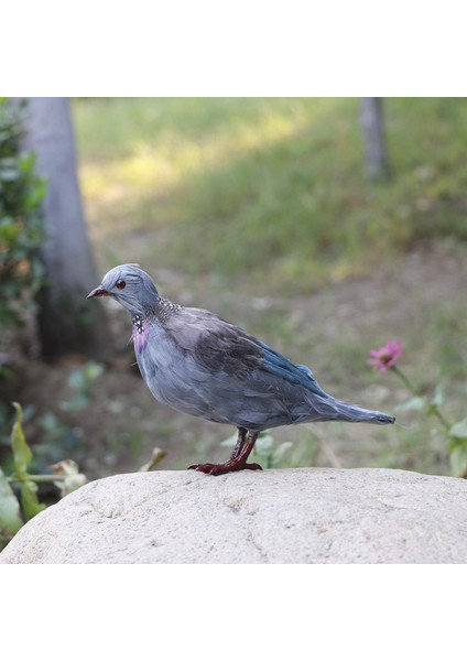 Tüylü Turtledove Simülasyon Turtledove Heykel Için Sundurma Masa Süsleri 21X16CM (Yurt Dışından) indirimleri