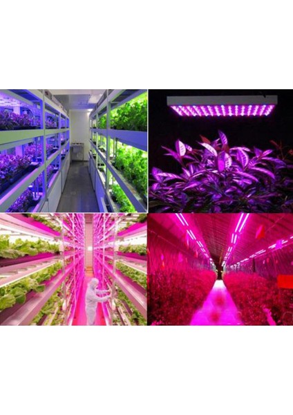 45W LED Grow Işık Paneli Hidroponik Iç Mekan Bahçe-Eu Için Dolu (Yurt Dışından)
